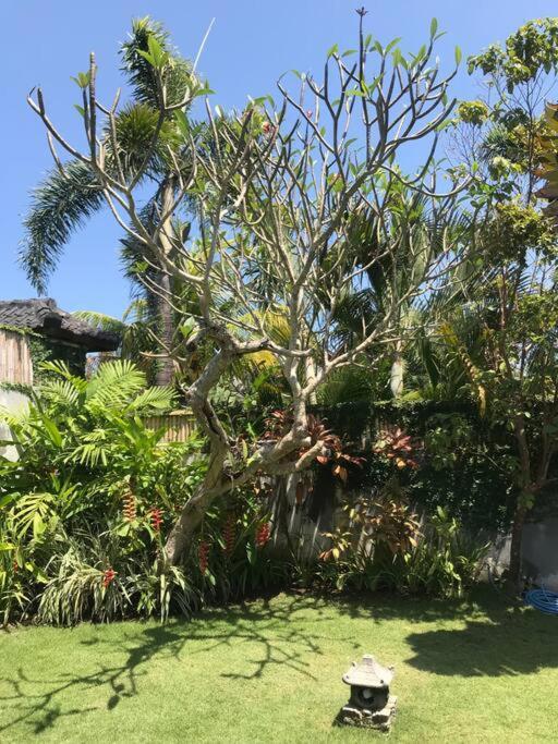 Desa Naga Villa Canggu (Bali) Exterior photo